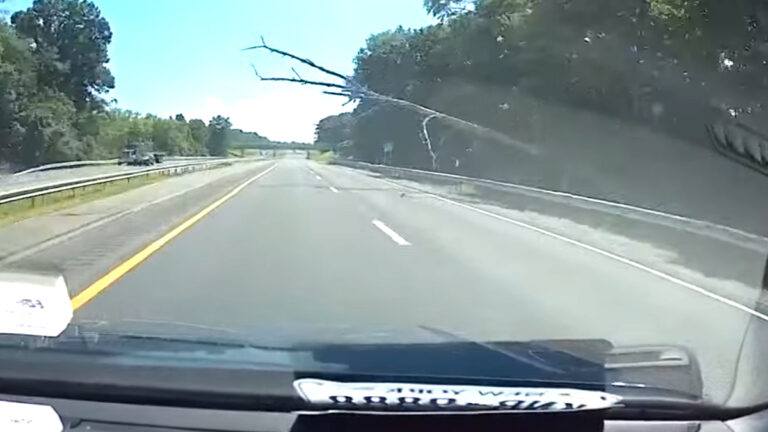 Bestuurder kan NIETS doen om omvallende boom te vermijden. Wat volgt? Stevig! (video)