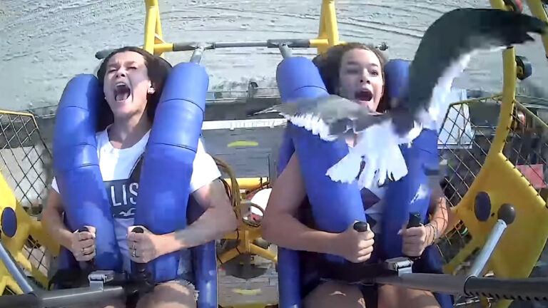 Jongedame gilt het uit tijdens ritje op straffe attractie. Maar plots? WOW! (video)