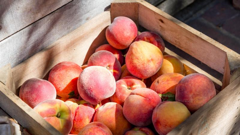 LIFEHACK. Harde perziken? Zo zijn ze binnen een dag rijp