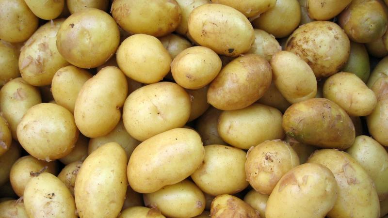 RECEPT. Zo maak je volgens de wetenschap de perfecte gebakken aardappeltjes