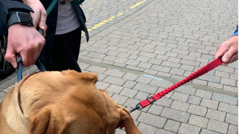 Foto van twee knuffelende honden doet internetharten smelten: «Zo mooi dat ik ervan moet wenen»