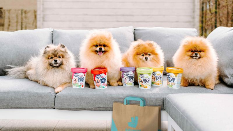 Bestel ijsjes voor… je hond