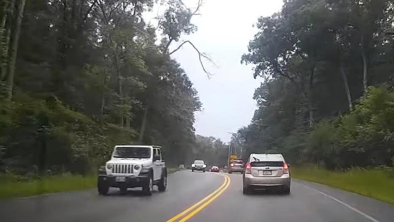 Bestuurder ziet hoe enorme tak van boom loskomt en op tegenligger smakt (video)