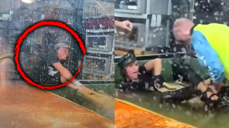 Alligator valt verzorgster aan, maar dan schiet deze HELDHAFTIGE papa in actie! (video)