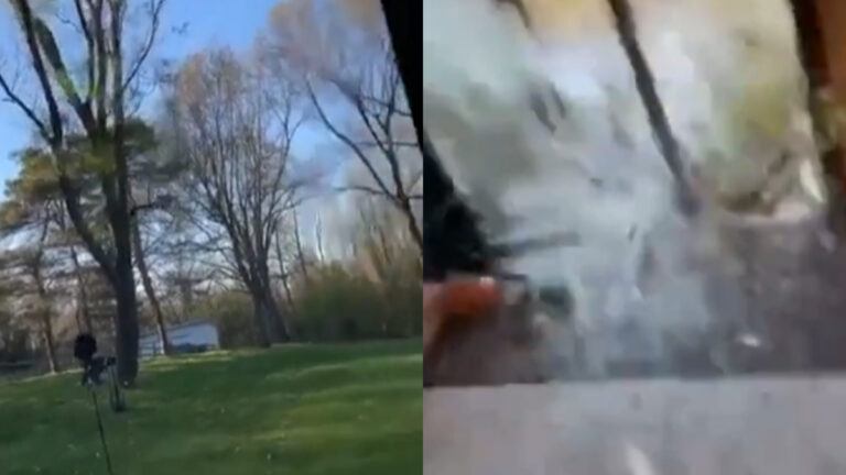 Boom in tuin omzagen gaat STEVIG fout: “Mijn God!” (video)