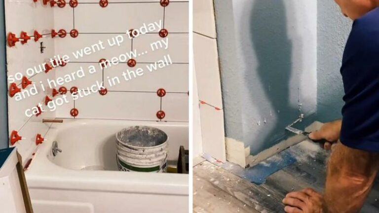 OH NEE! Vrouw renoveert badkamer, maar dan hoort ze haar kat plots miauwen vanuit de muur (video)