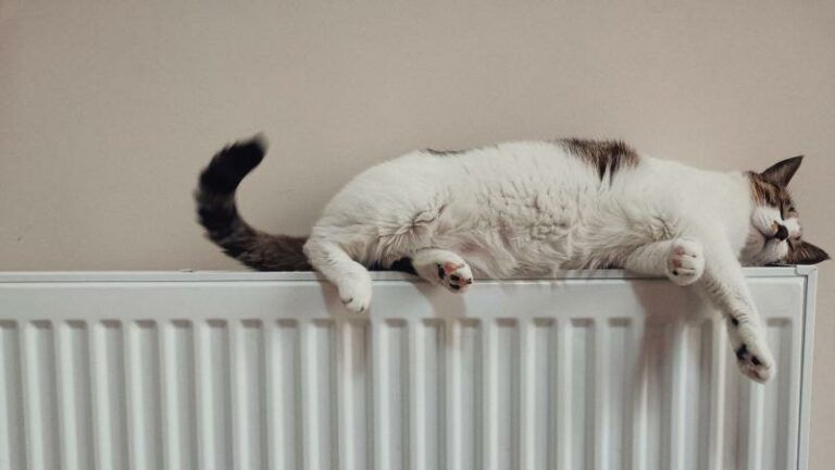 Acht tips om thuis energie te besparen
