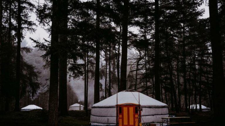 Vijf redenen om deze winter te kamperen in het bos