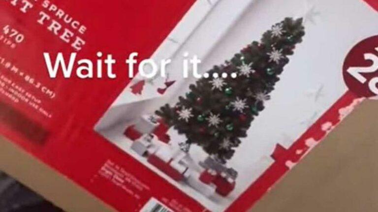 Vrouw bestelt prachtige kerstboom online, maar het resultaat is om te janken… (video)