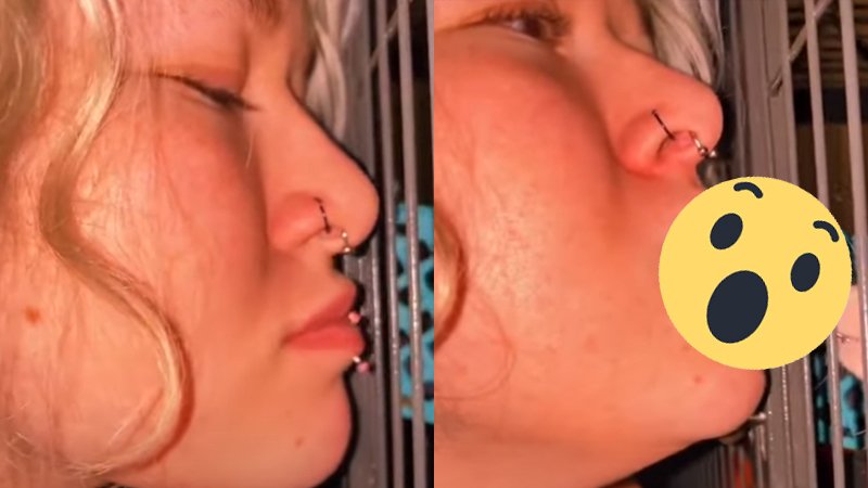 Dame met lippiercing ontdekt dat een RAT kussen géén goed plan is! (video)