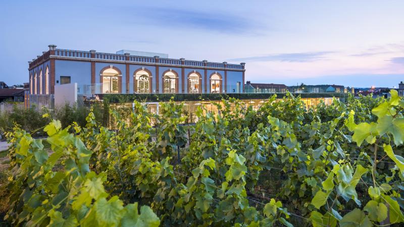 CHECK IN. De Champagnestreek is een feest voor je zintuigen