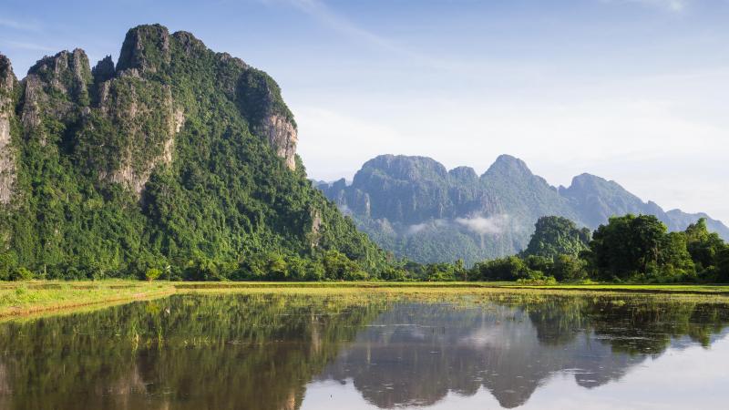 224 nieuwe plant- en diersoorten ontdekt in Mekong-regio, waaronder DIT schattige aapje (foto’s)