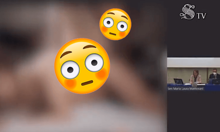 Italiaanse senaat plots opgeschrikt door pikant seksfilmpje (video)
