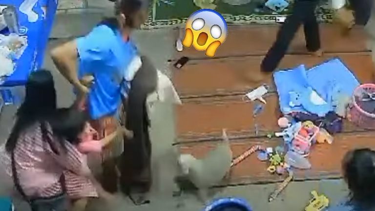 Familie zit rustig buiten. Maar plots? Pure PANIEK: “Zo beangstigend!” (video)