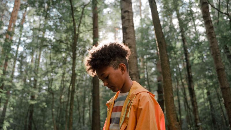 We voelen ons wereldwijd onveiliger dan ooit: «Meerderheid maakt zich zorgen om toekomst»