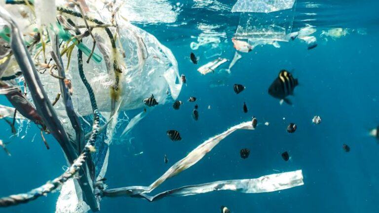 Tegen 2050 zit er vier keer zo veel plastic in de oceaan: «We moeten snel ingrijpen»