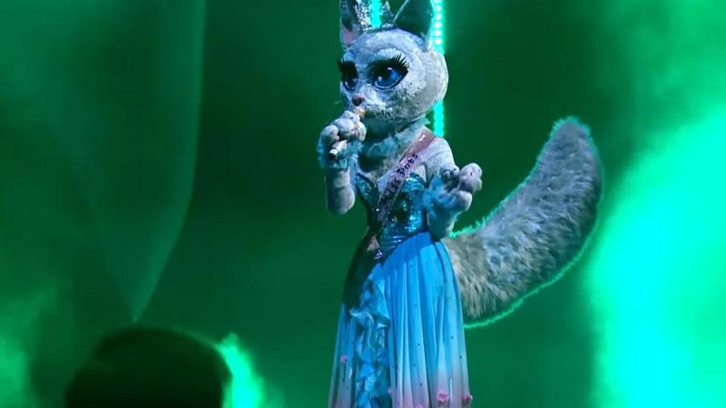 Stem van deze zangeres is precies dezelfde als die van Miss Poes in ‘The Masked Singer’: «Duidelijker kan niet» (video)