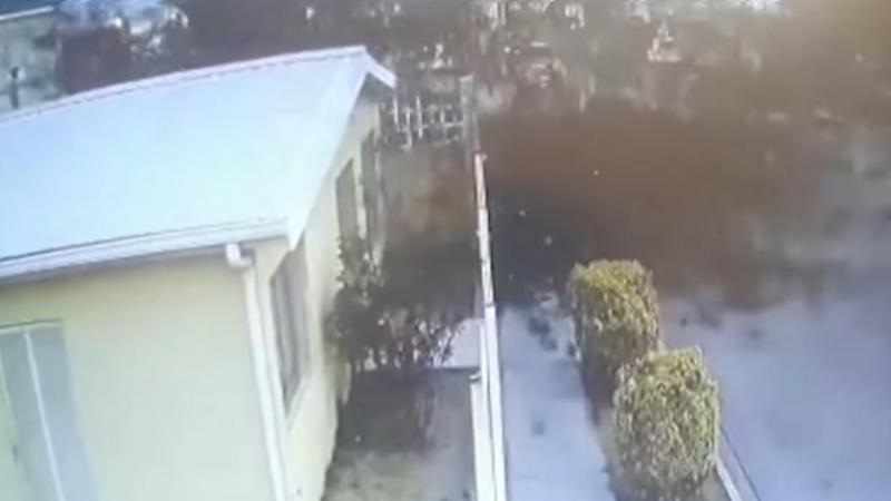 WTF. Gigantische zwerm vogels stort plotsklaps neer: Wetenschappers verklaren fenomeen (video)