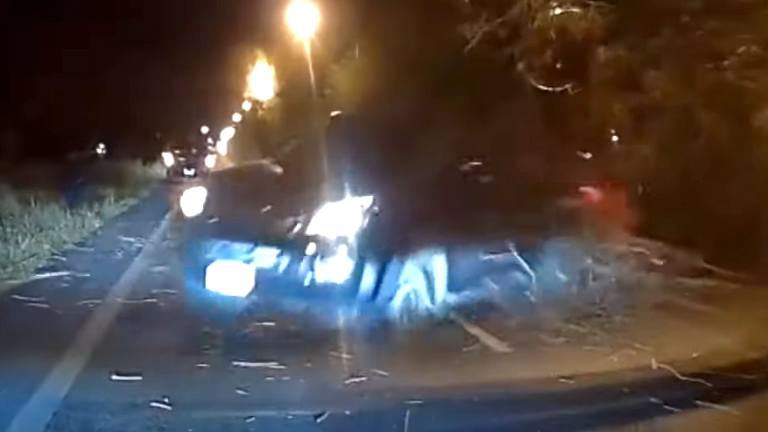 Onaandachtige chauffeur merkt omgevallen boom te laat op. Wat volgt? HORRORCRASH! (video)