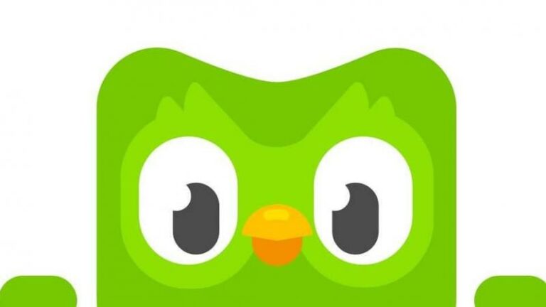 Zes keer zo veel mensen leren Oekraïens op taalapp Duolingo