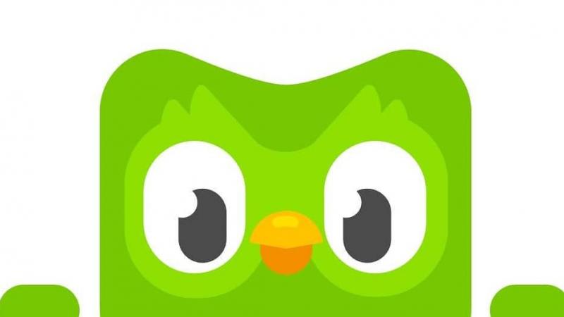 Zes keer zo veel mensen leren Oekraïens op taalapp Duolingo