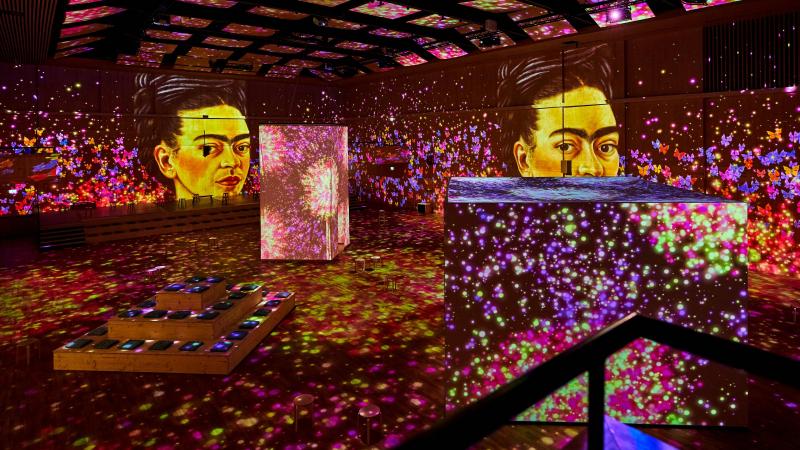 Immersieve expo die intieme blik geeft op het leven van Frida Kahlo opent de deuren in Brussel