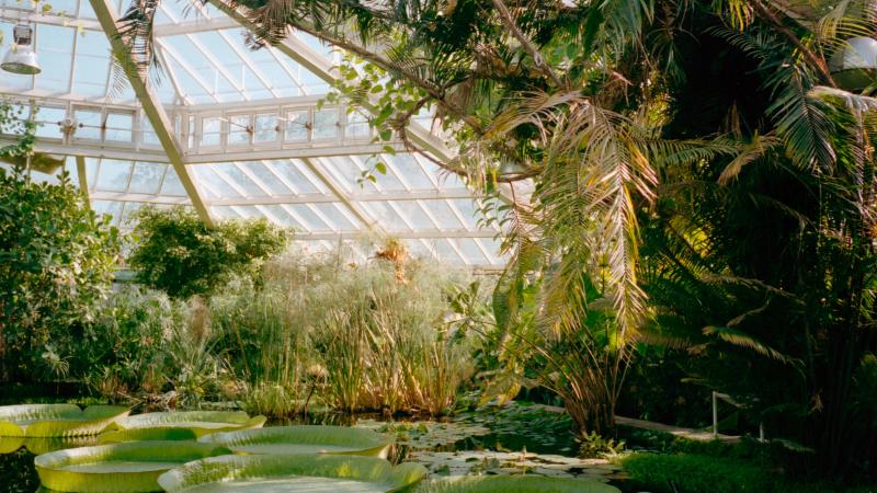LENTEKRIEBELS. Drie plantentuinen om het verse groen in op te snuiven