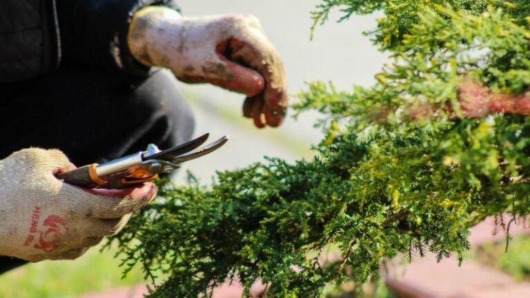 Natuurjob steeds vaker knelpuntberoep