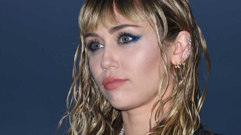 Vliegtuig van Miley Cyrus maakt noodlanding: «In zware storm terechtgekomen» (foto)