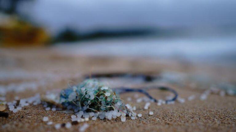 «Alarmerend»: Voor het eerst microplastic waargenomen in menselijk bloed