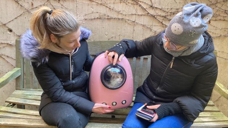 Stichting Prins Laurent helpt de huisdieren van Oekraïense vluchtelingen: «Omdat ze bij het gezin horen»