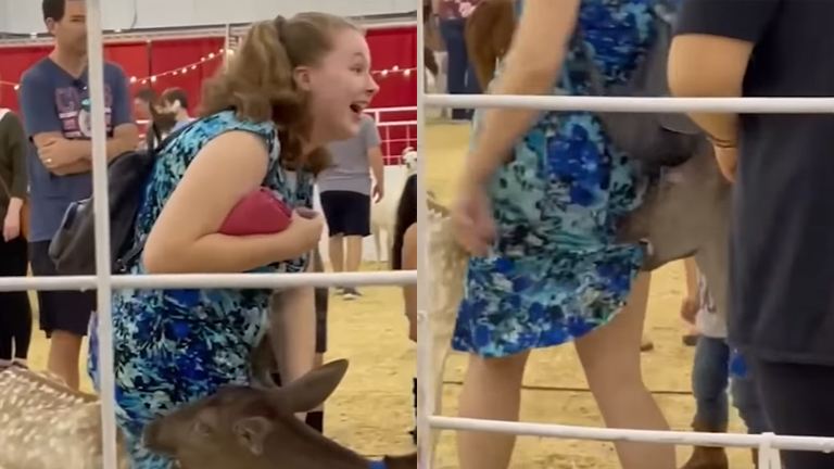 HILARISCH: Hertjes hebben wel trek in ‘fleurig’ kleedje van dame (video)