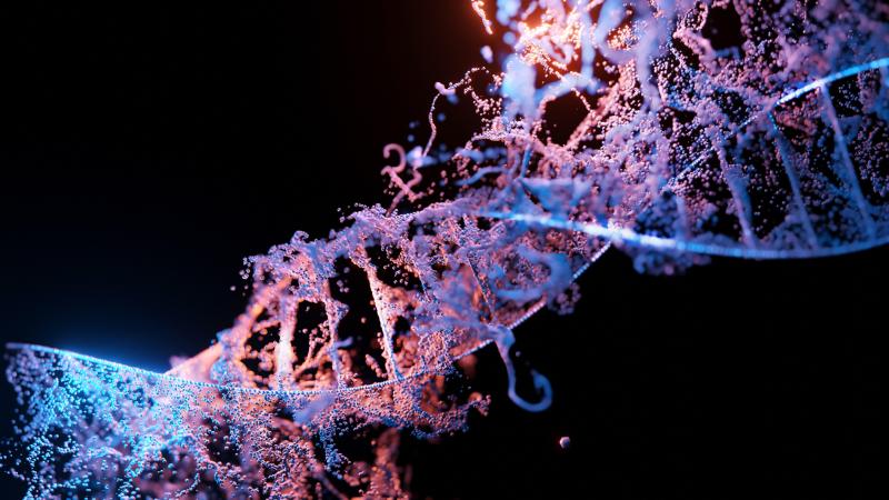 Onderzoek vindt verband tussen ziekte van Alzheimer en zeventigtal DNA-regio’s: «We zijn verder dan topje van de ijsberg»