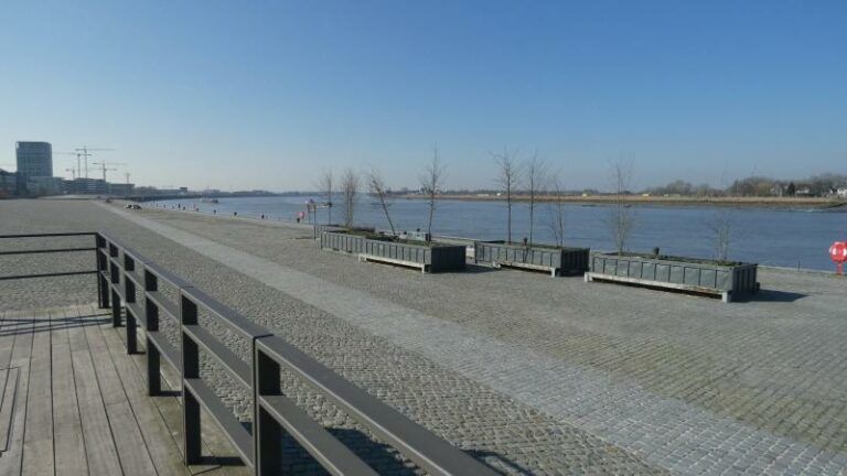 Kaaien aan Antwerps Nieuw Zuid krijgen park met uitkijkpunt en «waterbos»