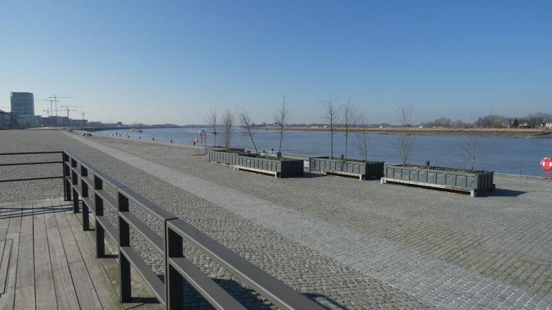 Kaaien aan Antwerps Nieuw Zuid krijgen park met uitkijkpunt en «waterbos»