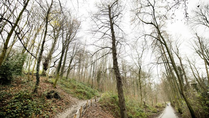 Tweede mesaanval op twee dagen in Dudenpark: «Gelukkig ken ik wat van gevechtssport»