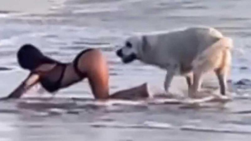 Influencer poseert sensueel aan zee, maar dan doet hond DIT! (video)