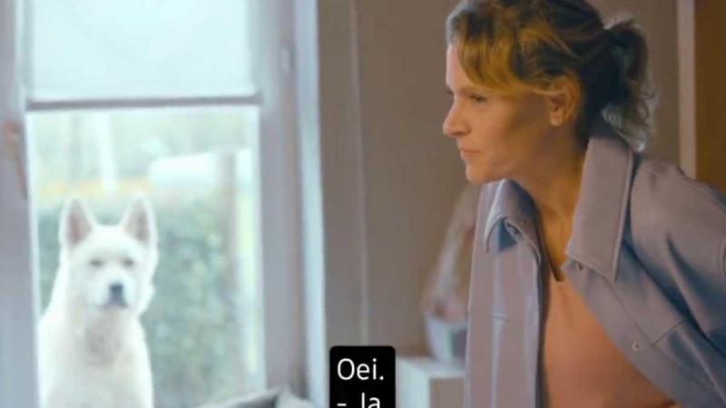 Twitter in een deuk met hilarisch moment in ‘Boer zkt Vrouw’: «Perfecte timing!» (video)