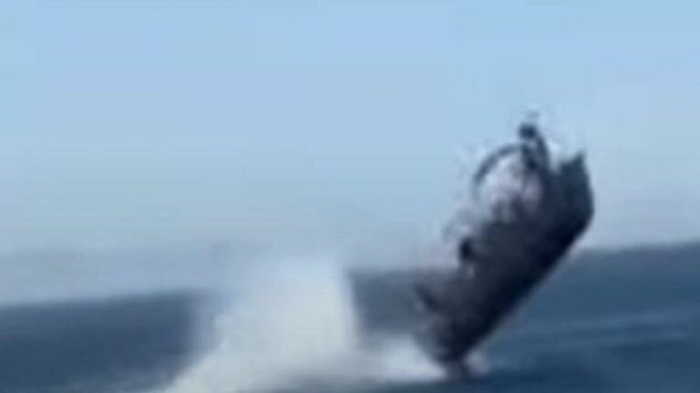Mexicaans toeristenbootje botst met walvis en katapulteert passagiers de zee in (video)