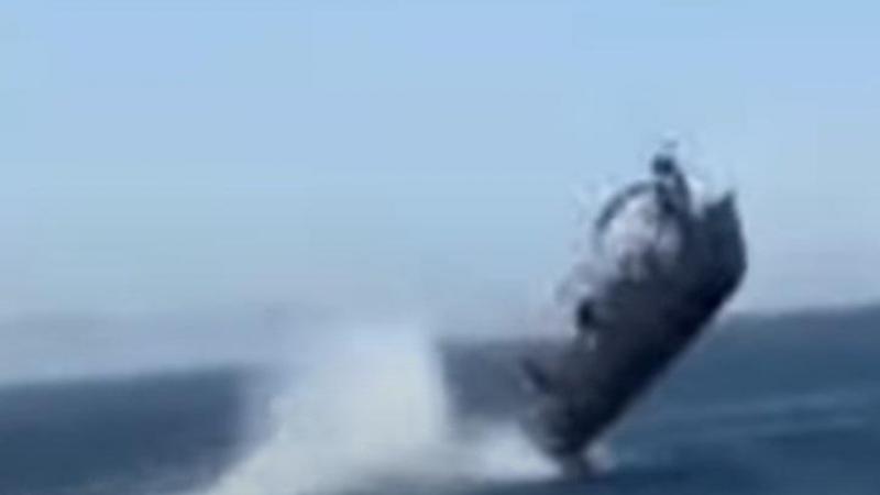Mexicaans toeristenbootje botst met walvis en katapulteert passagiers de zee in (video)