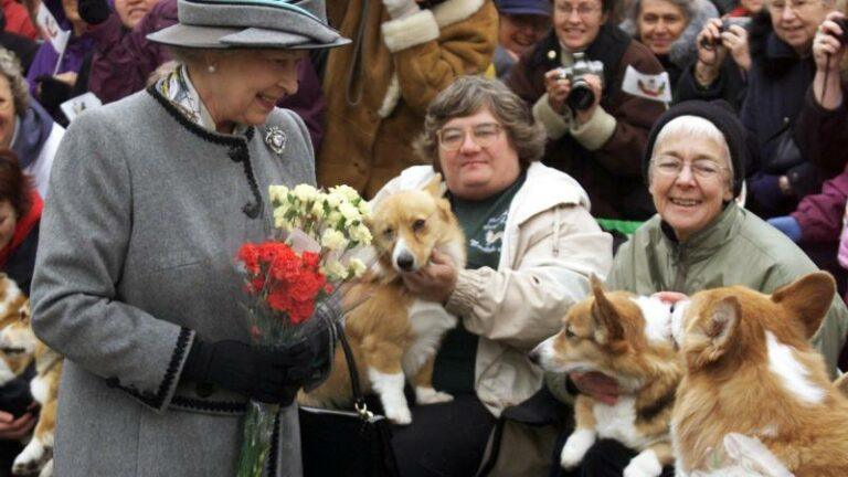 HOERA! Buckingham Palace viert verjaardag met Instagramstickers