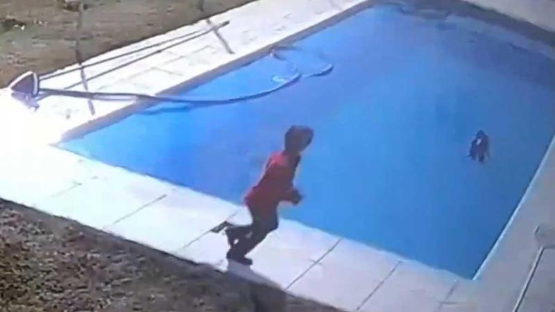 Jongetje redt hond net op tijd van verdrinkingsdood in zwembad: «Wat een held!» (video)