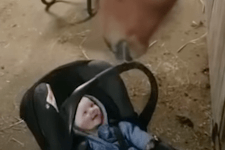 Paard ontfermt zich over baby en dat levert enorm vertederende beelden op (video)
