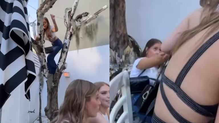 Jongedame wil wat aandacht op restaurant en kruipt in boom. Maar dan? AUCH! (fails)