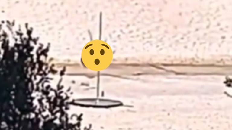 Wandelaars geloven hun ogen niet wanneer ze plots een PAALDANSERES in openlucht zien: “WTF!” (video)