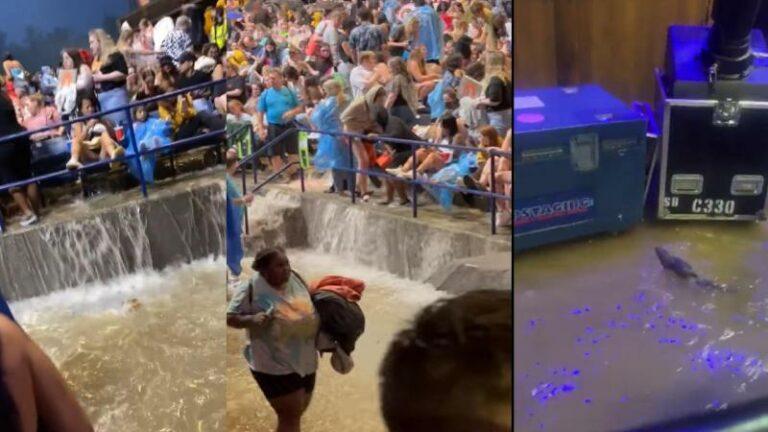 Halsey-concert wordt nachtmerrie na zware regenval: ongedierte palmt podium in en zaal overstroomt (video)