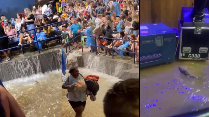 Halsey-concert wordt nachtmerrie na zware regenval: ongedierte palmt podium in en zaal overstroomt (video)