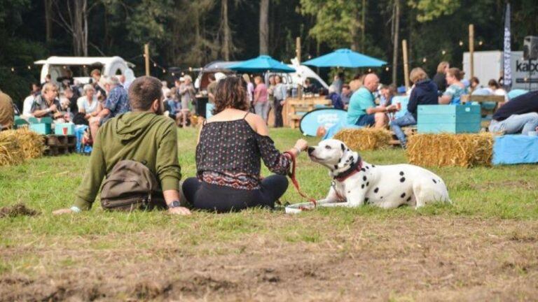 Eén op de drie baasjes gaat liever met hond naar festival dan met vrienden