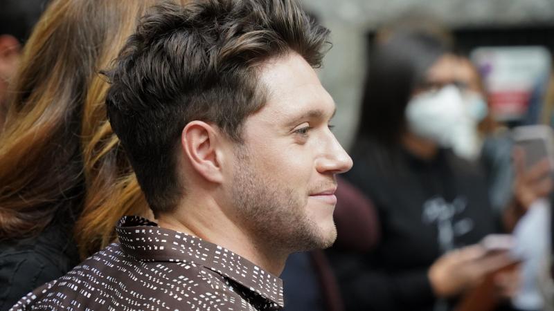 CUTE. Ex-Directioner Niall Horan amuseert zich tijdens concert van Harry Styles (video)