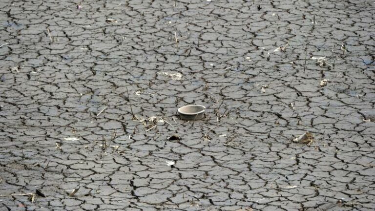 Vlaming bereid om te douchen in regenwater en minder te verharden in strijd tegen waterschaarste